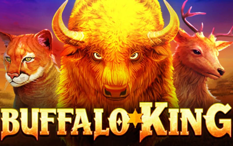Experience the emotions of the Buffalo King game at the JeetWin online casino.